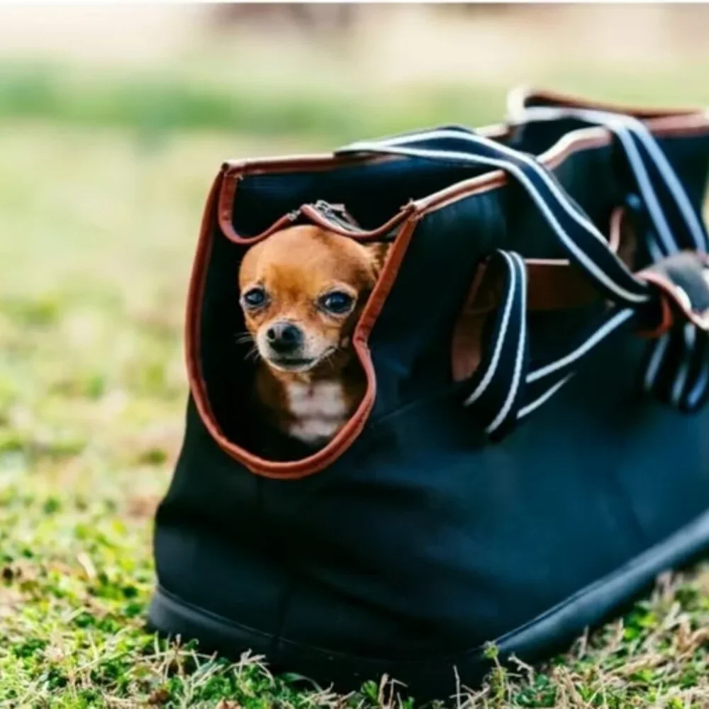 VL Dog carrier. Small to medium sized dog. Used once.